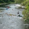 img_8537 1